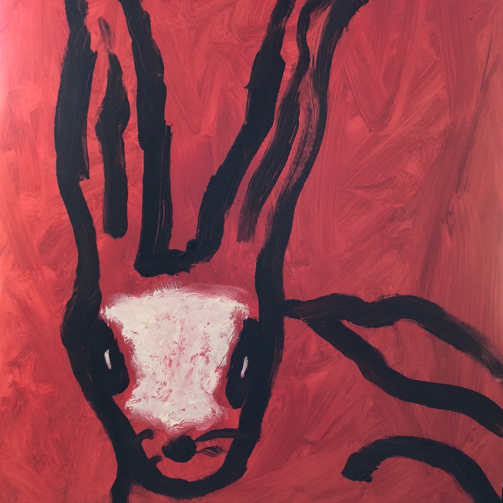 Meet your Posher, Josie